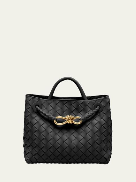 Bottega Veneta Small Andiamo Bag
