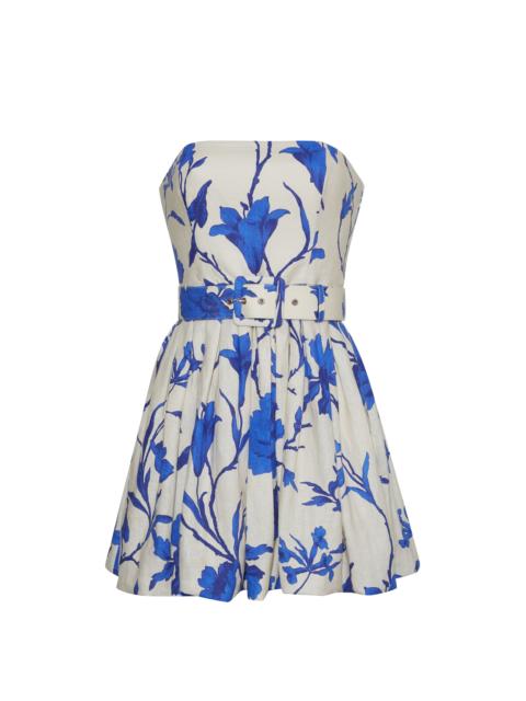 Cara Cara Swan Dress