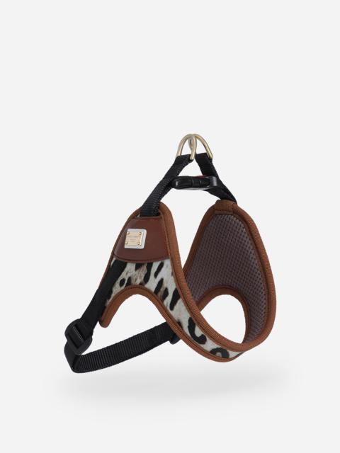 Dolce & Gabbana Dog harness