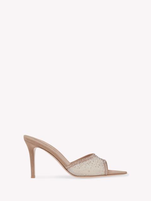 Gianvito Rossi RANIA MULE 85