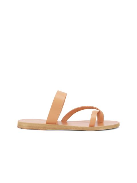 ANCIENT GREEK SANDALS Daphnae Sandal