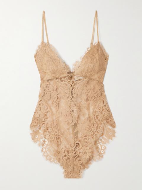 Zimmermann Illusion Velvet-trimmed Lace Bodysuit