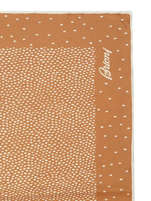 Brioni Brioni Men Scarves