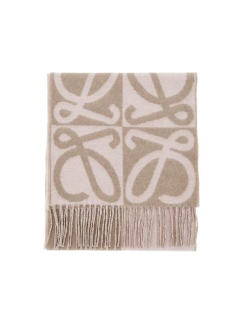 Loewe Loewe Wool and Cashmere Scarf Multicolor Women