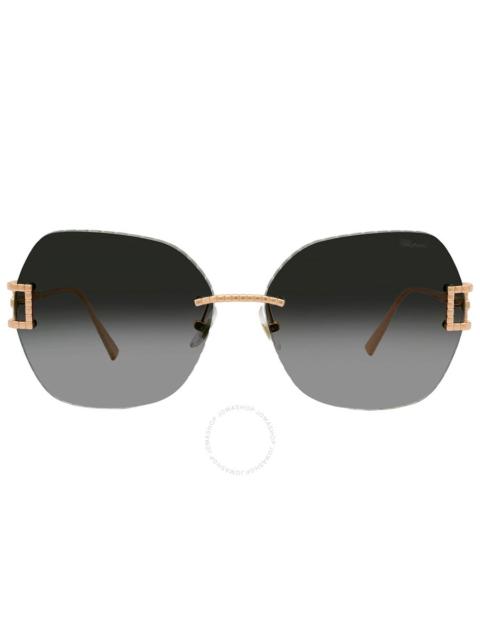 Chopard Chopard Grey Butterfly Ladies Sunglasses SCHG31M 08FC 64