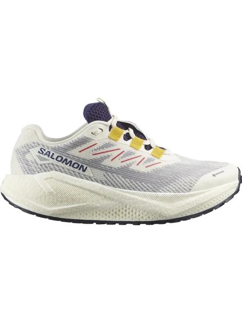 SALOMON Aero Blaze 3 GRVL GTX