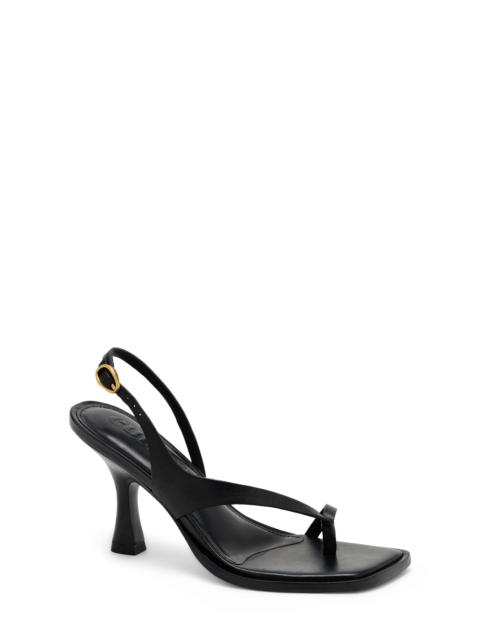 Cult Gaia Cult Gaia Paxton Thong Slide Sandal in Black at Nordstrom