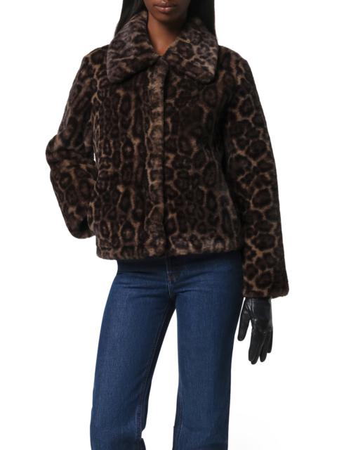 APPARIS Apparis Elis Leopard Pattern Pluche™ Faux Fur Coat in Dark Leopard at Nordstrom