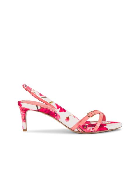 Maia 60 Sandal