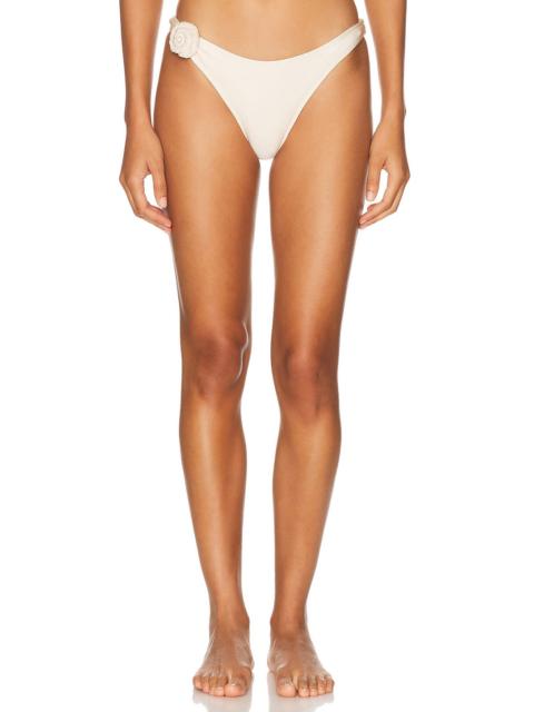 BANANHOT Lula Bikini Bottom