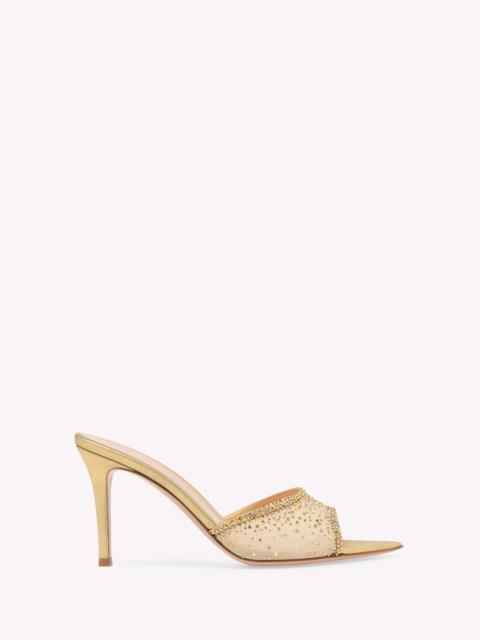 Gianvito Rossi RANIA MULE 85