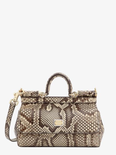 DOLCE e GABBANA - Dolce E Gabbana Leather Handbag With Animalier Print