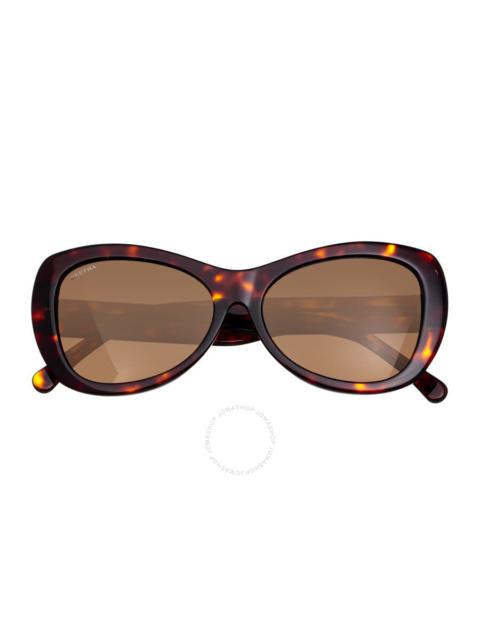 Other Designers Bertha Ladies Tortoise Square Sunglasses BRSIT101-3