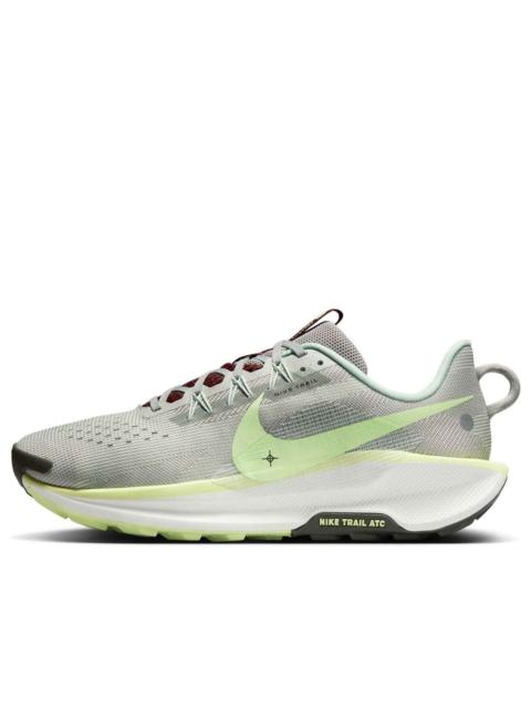 Nike Nike Pegasus Trail 5 'Light Silver College Grey Volt' DV3864-004
