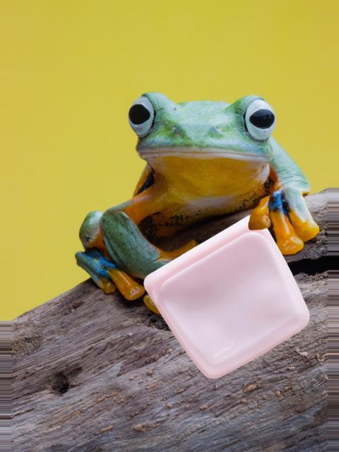 Collina Strada Reusable Pink Sandwich Bag | Stasher