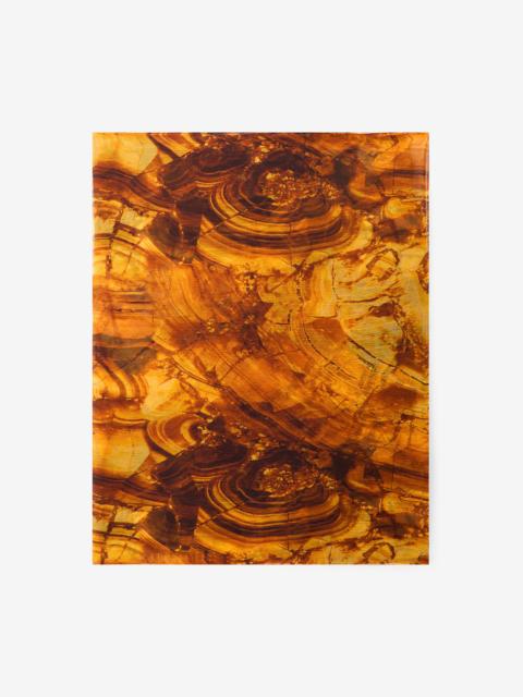 Roberto Cavalli Stole with Amber Print