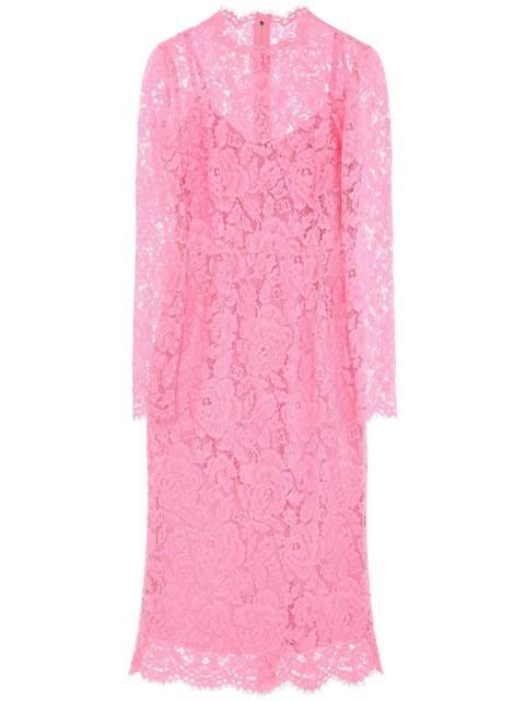 Dolce & Gabbana Midi Dress In Floral Cordonnet Lace