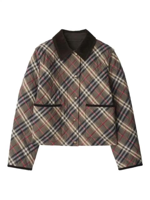 Burberry checked quilted jacket