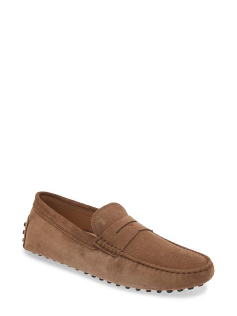 Tod's Gommino Driving Shoe
