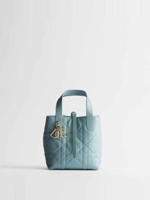 Dior Small Dior Toujours Vertical Tote Bag