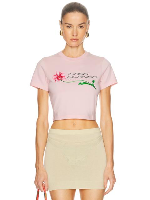 CASABLANCA Cropped Baby Tee