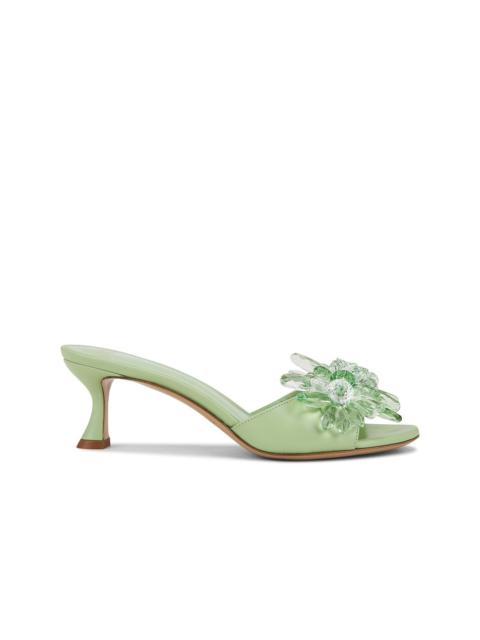 Sierra 60 Sandal
