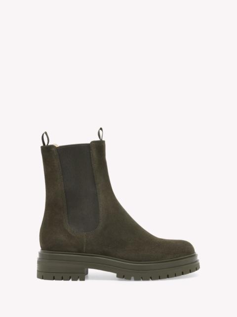 Gianvito Rossi Gianvito Rossi Chester Biker Boots in Dark Green Suede at Nordstrom