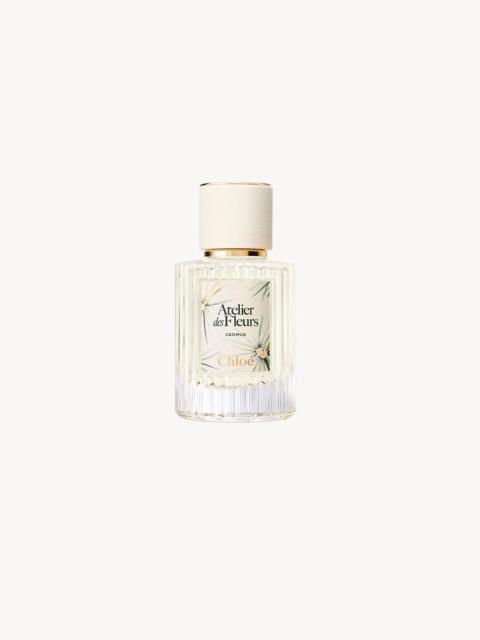 Chloé LIMITED-EDITION ATELIER DES FLEURS CEDRUS EAU DE PARFUM