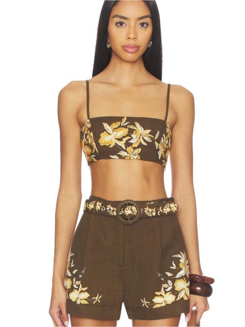 HEMANT & NANDITA Bandeau Top