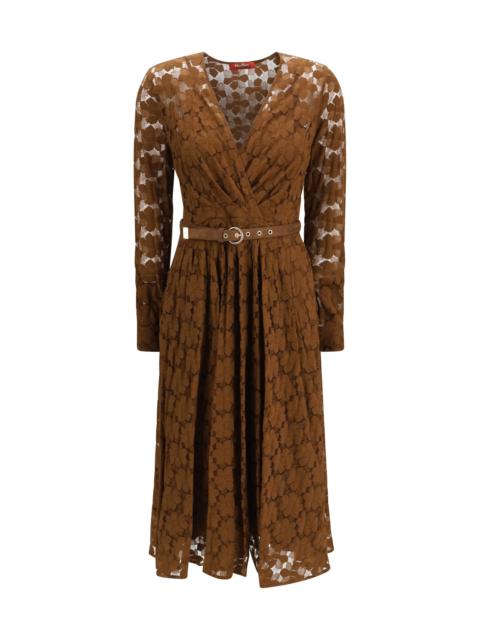 Max Mara Studio Max Mara Studio Agrume Midi Dress In Lace