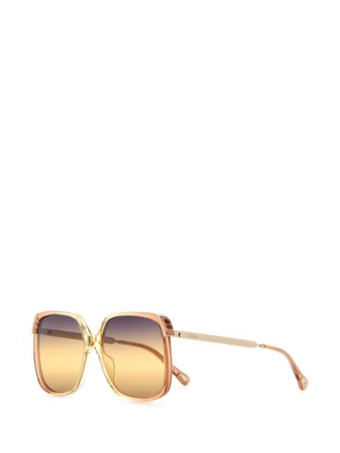 Chloe Women Printed Acetate And Metal Aly Sunglasses