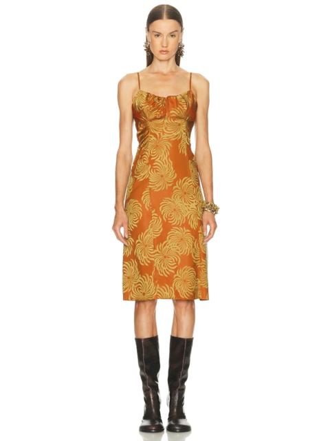 Dries Van Noten Dirios Dress