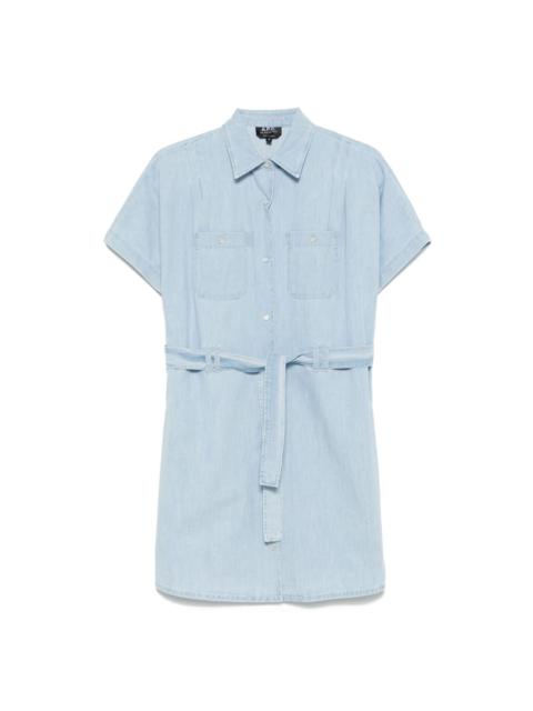 Suzanne mini dress
