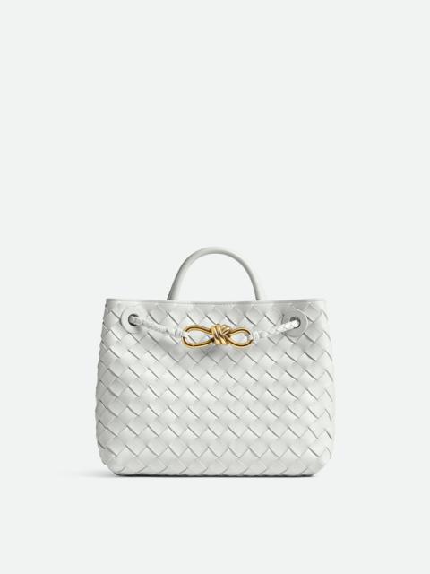 Bottega Veneta Small Andiamo