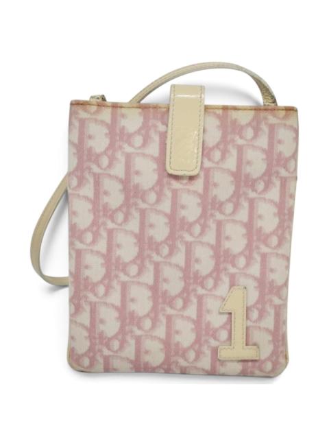 Dior Trotter leather handbag