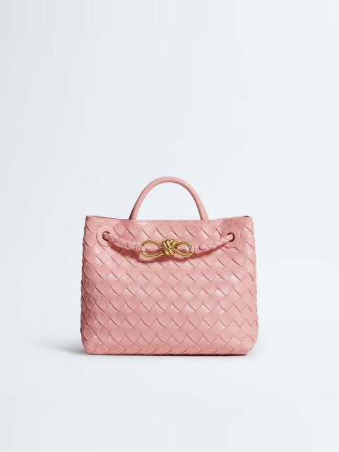 Bottega Veneta Small Andiamo