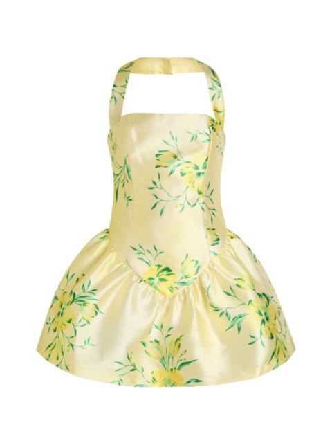 De La Vali DE LA Vali Aura Floral-print Faille Mini Dress