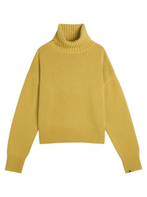extreme cashmere Extreme Cashmere N°434 Crop Xtra Roll-neck Cashmere Jumper