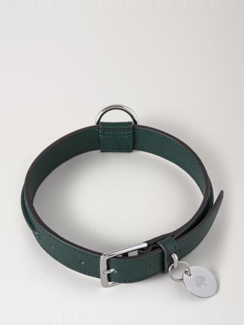 Mulberry Medium Leather Dog Collar
Mulberry Green Small Classic Grain