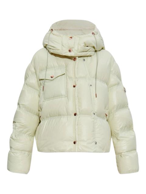 Moncler Erea down jacket