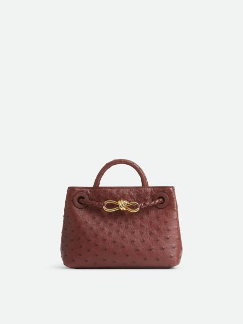 Bottega Veneta Mini Andiamo