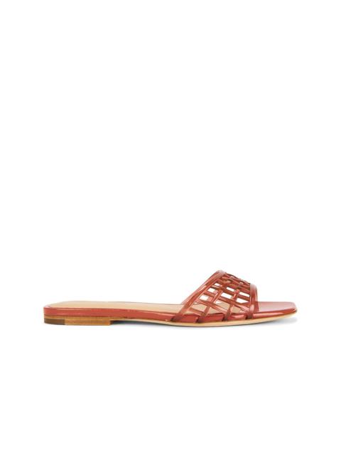 VERONICA BEARD Maris Jelly Sandal