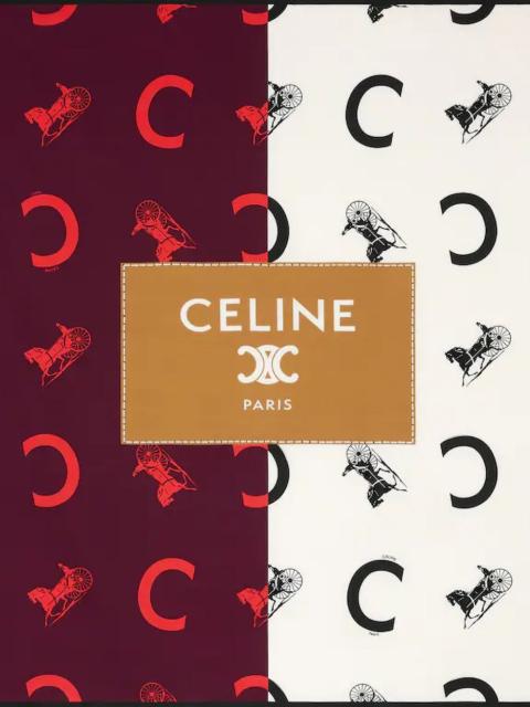 CELINE Celine Women Printed Silk Foulard