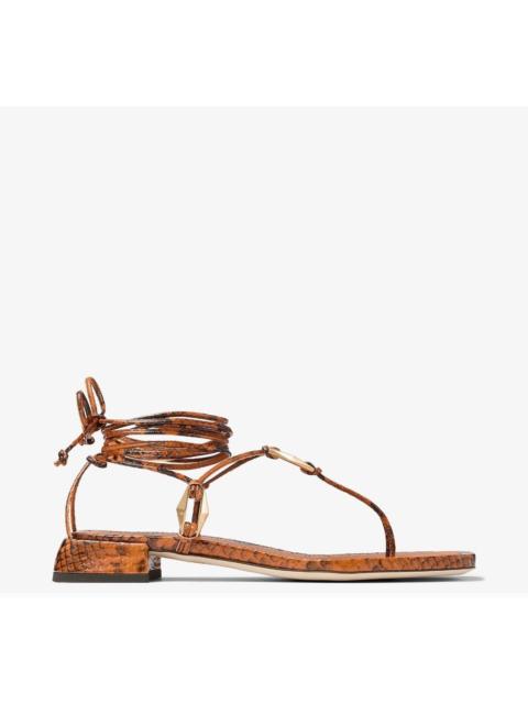 JIMMY CHOO Jimmy Choo Onyxia Flat