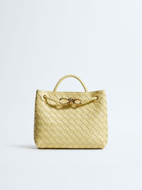 Bottega Veneta Small Andiamo
