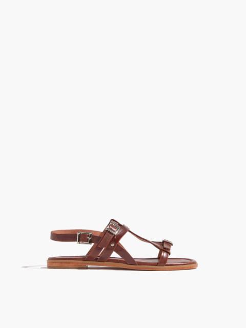 RACHEL COMEY Olstead Sandal in Saddle