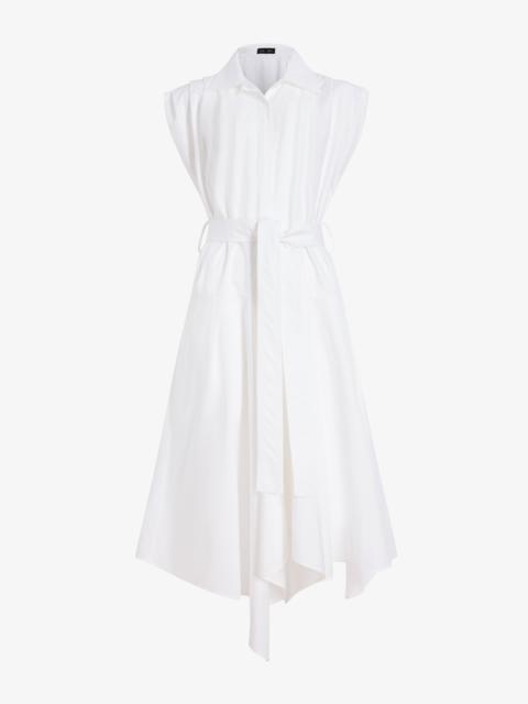 Proenza Schouler Adinna Dress in Classic Cotton Shirting
