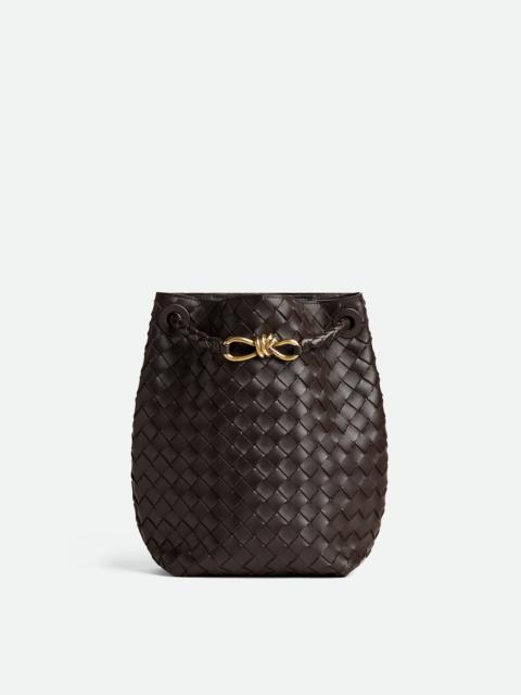 Bottega Veneta Small Andiamo Bucket