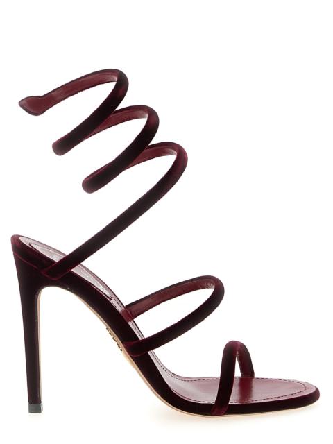RENE CAOVILLA René Caovilla Women 'Cleo' Sandals