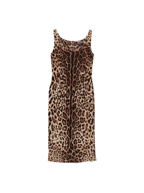 Dolce & Gabbana Dolce & Gabbana Brown Dresses - Cocktail & Party Dresses Women